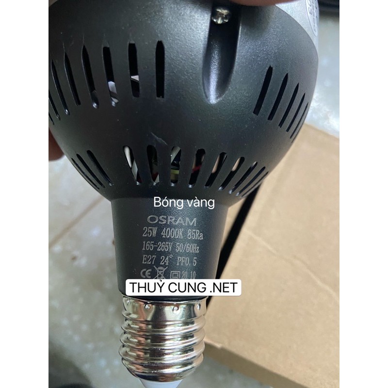 Đèn Bán Cạn OSRAM  25w 35w 45w
