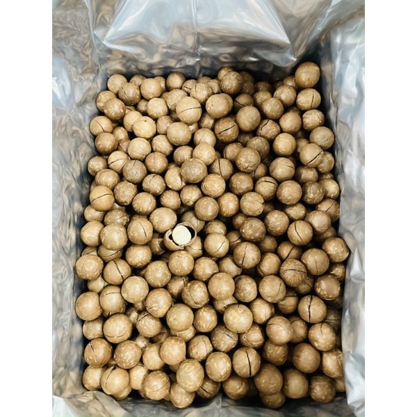 HẠT MACCA ÚC NỨT VỎ 500g tặng kèm khui hạt