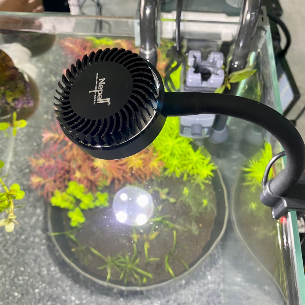 Đèn Kẹp Nepall Mini Fill