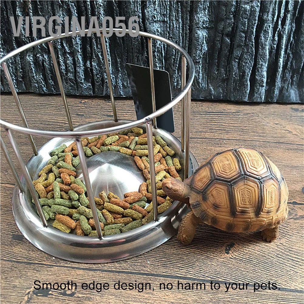 Virgina056 Thức ăn bền cho bò sát bằng đá và bát đựng thức nước rùa