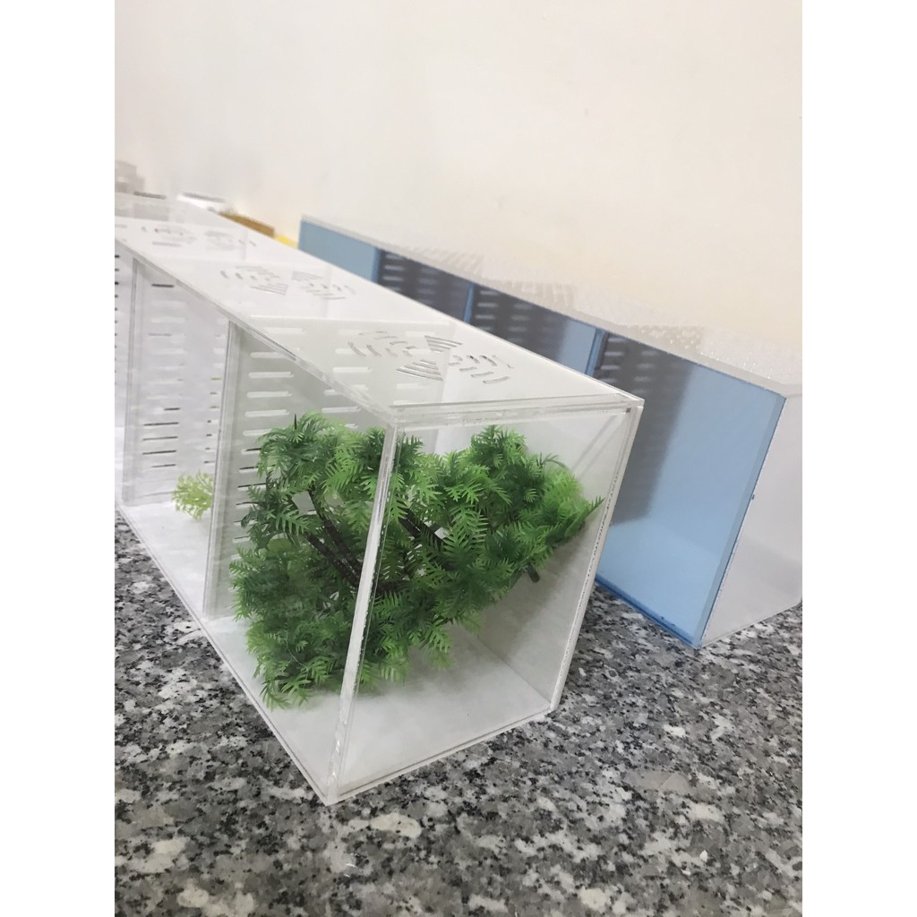 Bể cá/ hồ show cá 4 ngăn ( giá tại xưởng)