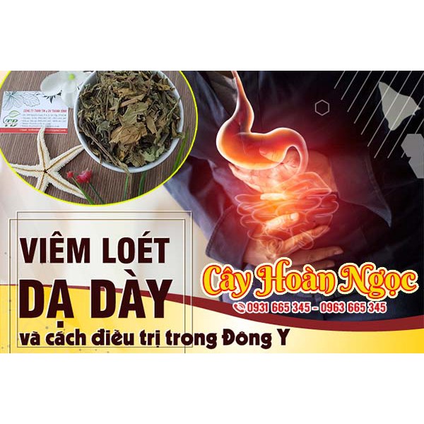 Cây Hoàn Ngọc Khô 1Kg Loại Cao Cấp