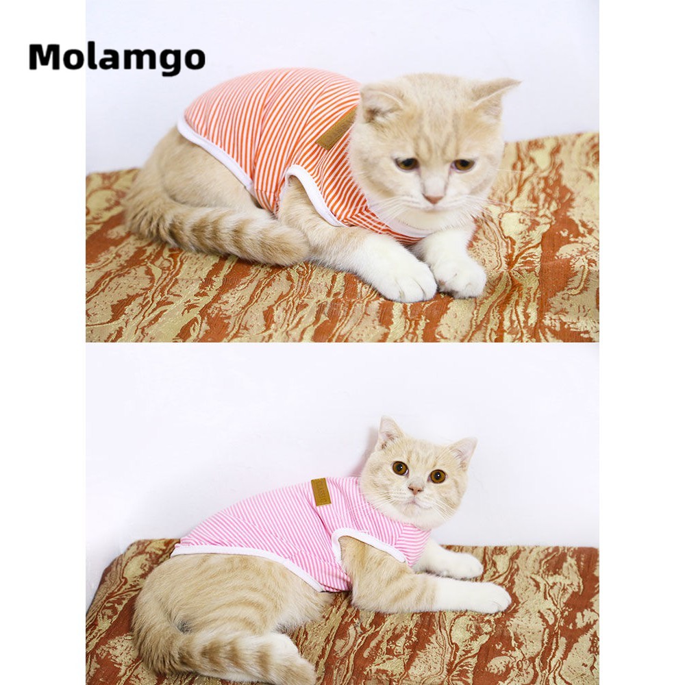 Áo Len Giữ Ấm Thời Trang Dành Cho Thú Cưng