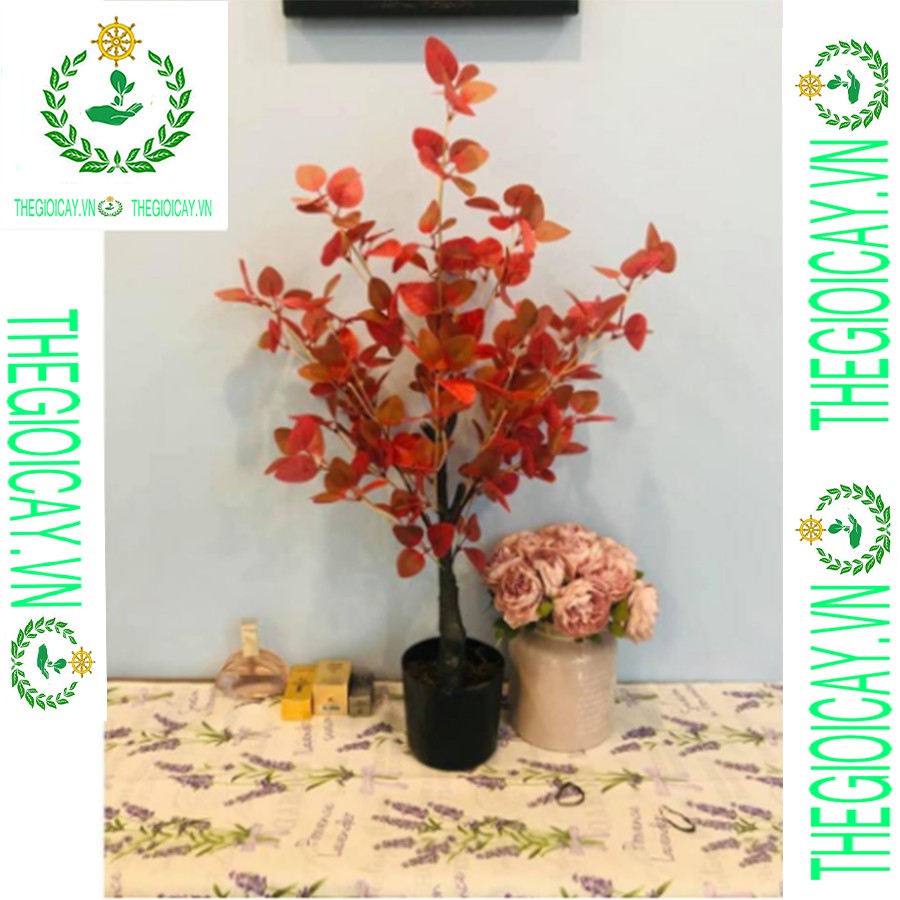 Cây giả - Cây Bạch đàn lá hồng đỏ cao 80cm
