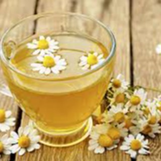 Nước Thảo Mộc Cúc La Mã ( Chamomile Hydrosol )