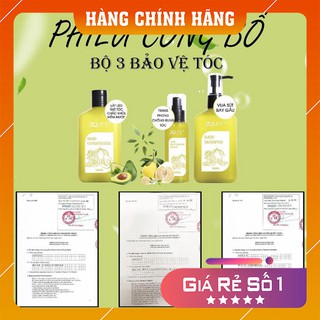 Combo Dầu gội bưởi - ủ tóc bưởi bơ - xịt tóc zoley