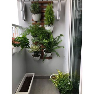 10 CHẬU ỐP TƯỜNG BÁN NGUYỆT TRỒNG HOA - MÀU TRẮNG