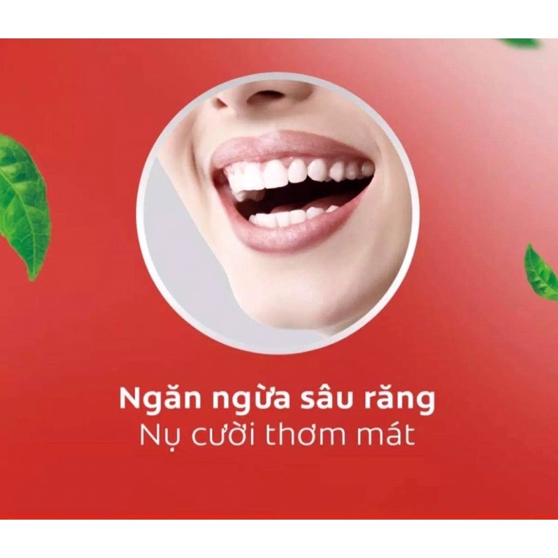 Nước súc miệng Colgate kháng 99% vi khuẩn Plax trà xanh/ bạc hà 500ml/chai