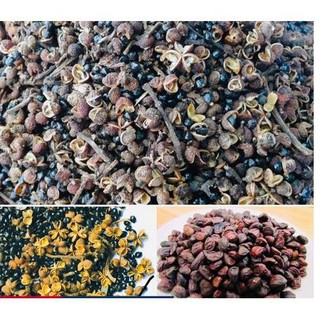 Combo 200g mắc khén và 50gr hạt dổi làm gia vị