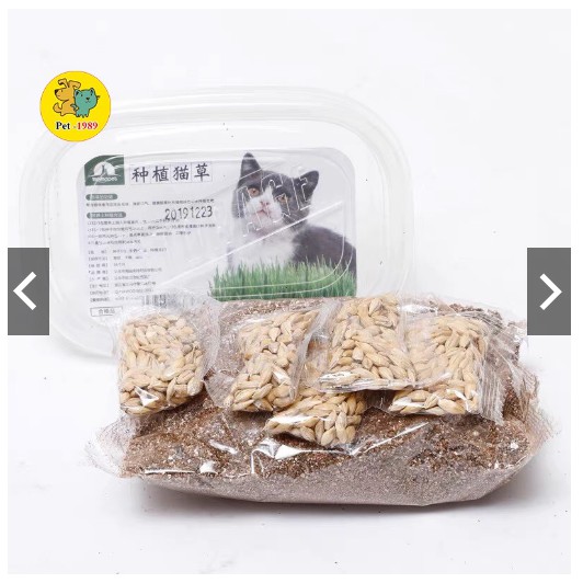 Bộ Kit Trồng Cỏ Mèo Hạt Yến Mạch