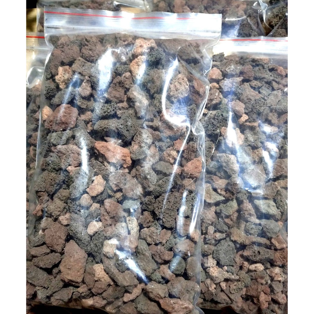 Đá núi lửa nham thạch giá thể trồng lan, sen dá xương rồng 1kg