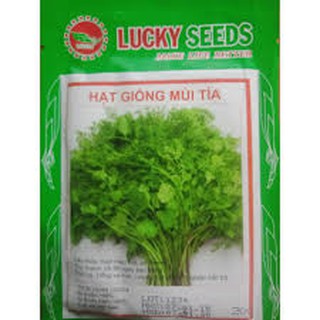 Hạt giống rau mùi tía (20G)