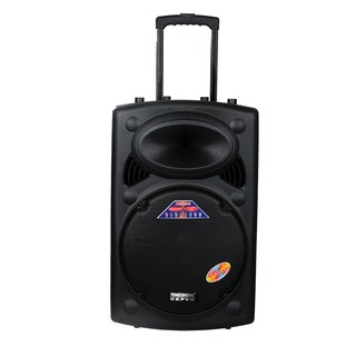 Loa Temeisheng DP-2305S