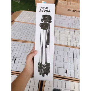 Gậy tripod 3120