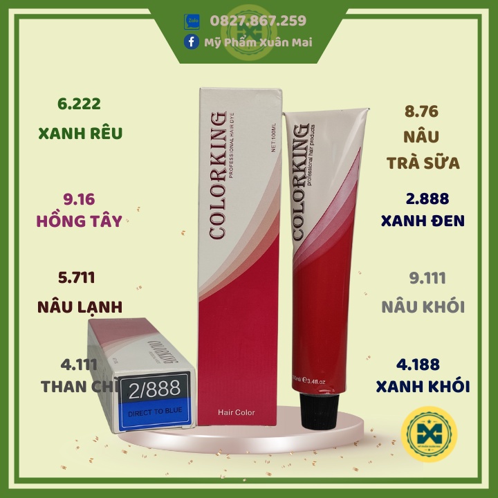 Màu nhuộm tóc Color tour không cần tẩy cho salon 100ml Colorking colortour(caitu)