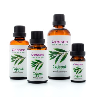 Tinh dầu Tràm Gió Cajeput Cao Cấp [Trợ giá 50%]