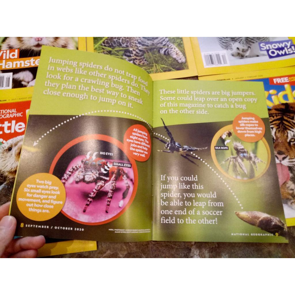 National Geographic kid