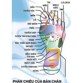 Máy massage chân Cao Câp (Japan)