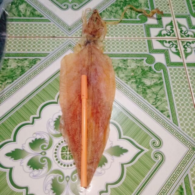 1 Con Mực khô câu thơm ngon, nướng cồn, than hoa -  chuẩn mực câu Nghệ An (size 15-17 con/kg) - mực dày mình, ngọt thịt | BigBuy360 - bigbuy360.vn