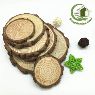 Miếng gỗ tròn - khoanh gỗ tròn trang trí - gỗ thông tự nhiên - chọn kích thước