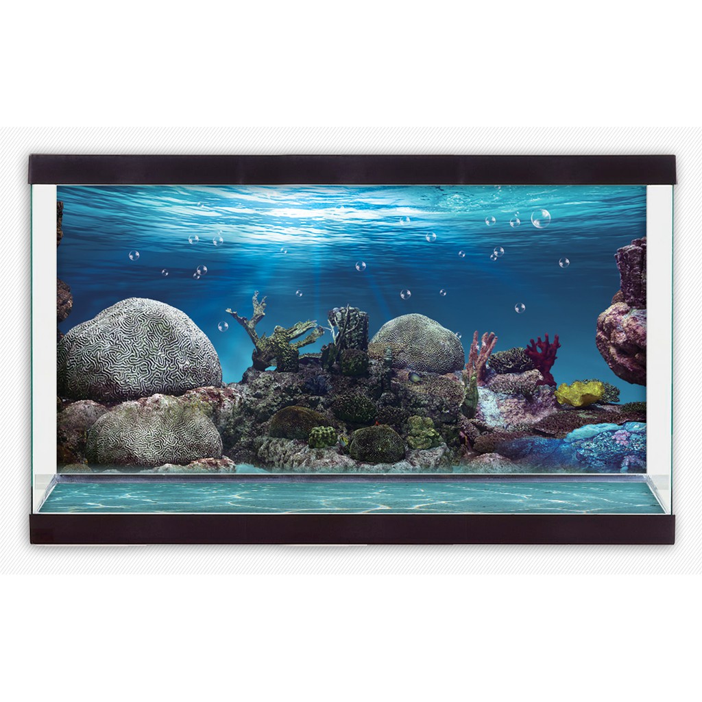 Giảm giá Tranh phông nền dán hồ cá, bể thủy sinh Aquarium tank - 032 -  BeeCost