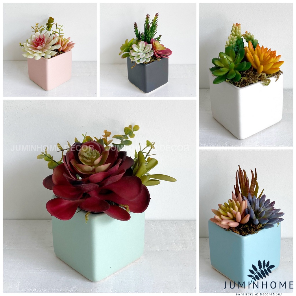 Cây giả Decor - Chậu sen đá vuông Decor trang trí để bàn