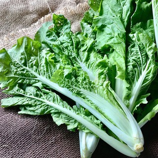 10gram HẠT GIỐNG CẢI BẸ DÚN