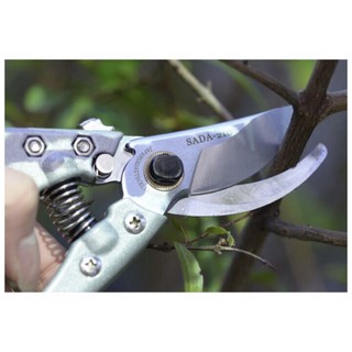 NHẬT BẢN Kéo cắt cành cây SADA 210