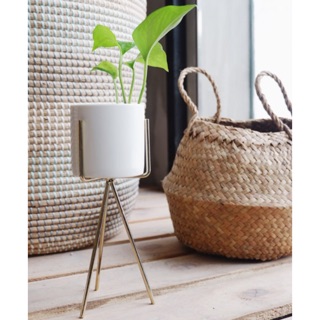 Chậu cây để bàn Hàn Quốc kệ cao mạ vàng (không cây)