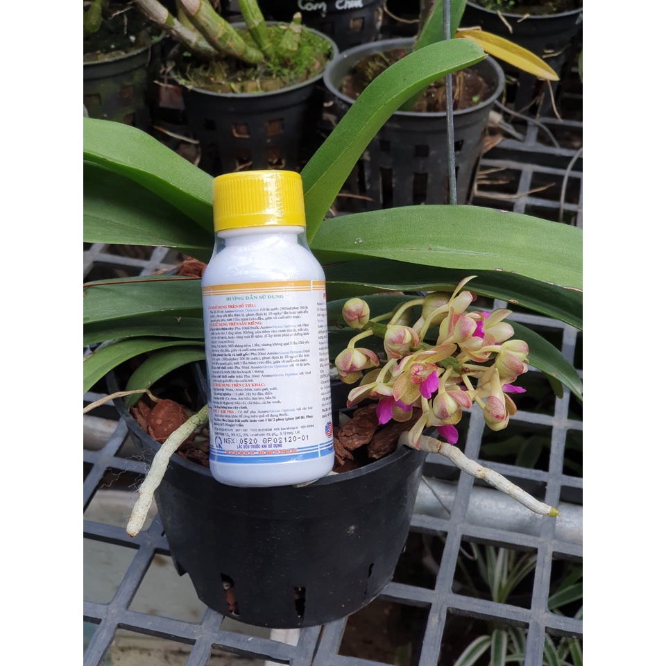 Phân bón AMINO ALEXIN  chai 100ml  - Chuyên trừ  thối lá  -Mai Huy