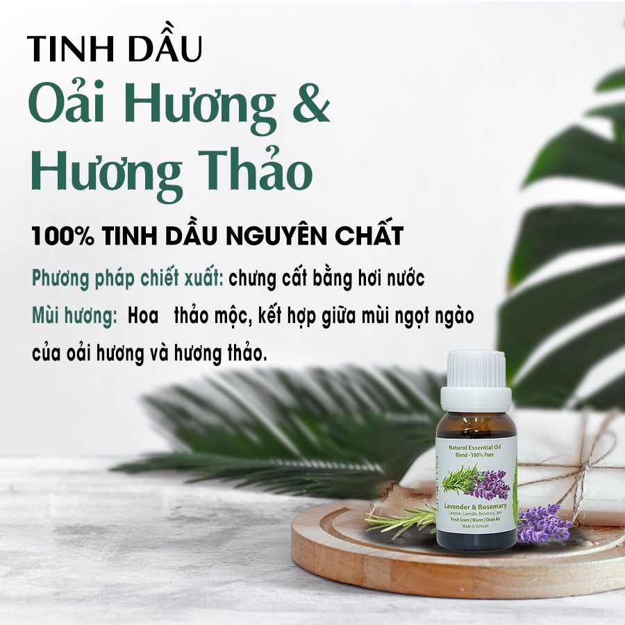 Tinh dầu Oải Hương Hương Thảo Aroma Lavender Bergamote Essential Oil 10ml