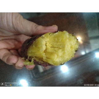 Khoai lang giống nhật (1kg)