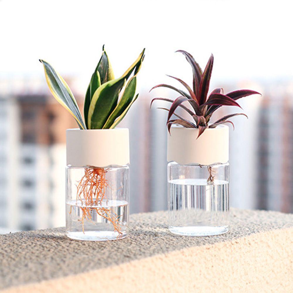 Set 2 Bình Hoa Thủy Canh Để Bàn Trang Trí Nhà Cửa / Văn Phòng