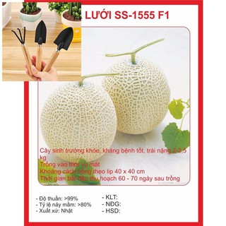 Hạt giống Dưa Lưới Tròn 10 Hạt TẶNG BỘ LÀM VƯƠN MINI