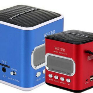 Loa Bluetooth WS215
