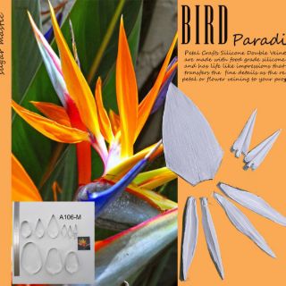 Bird Paradise khuôn silicone vân hoa đất hoa đường