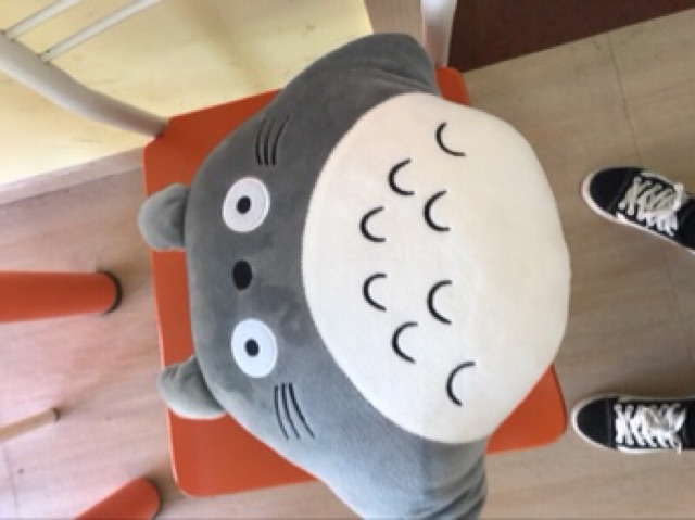 Bộ chăn gối 3 trong 1 Totoro đáng yêu