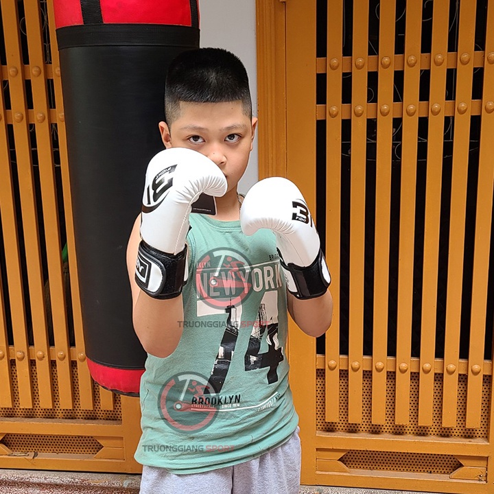 Găng tay đấm bốc, boxing dành cho trẻ em giá rẻ nhất