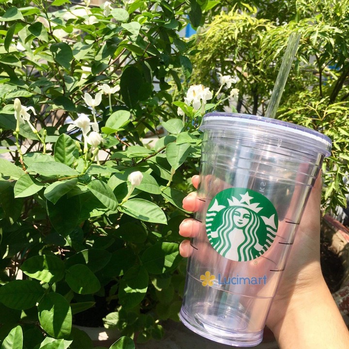 Ly Starbucks Basic 16oz – 473ml [Hàng Mỹ]