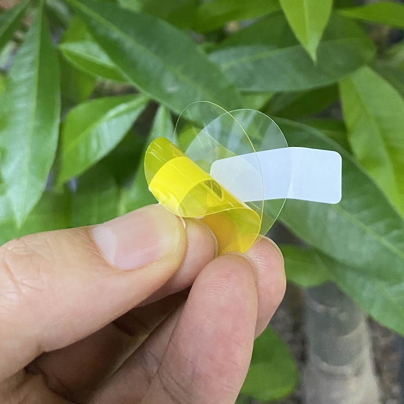 Miếng Dán Bảo Vệ Màn Hình xiaomi Imilab KW66 K11 Smart watch Imilab W12