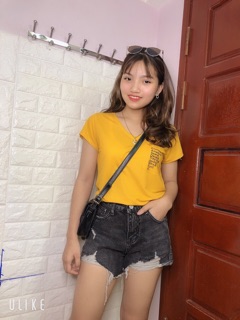 Áo phông giấy mẫu mới nhất
