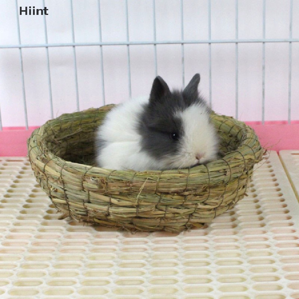 [Hiint] Thảm nhai cỏ Hamster House Guinea Pig Lồng giường Pad Pet Dog