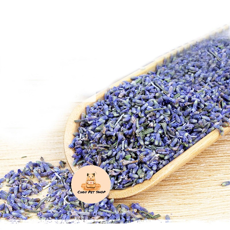 Hoa lavender sấy khô thanh lọc cơ thể cho Hamster