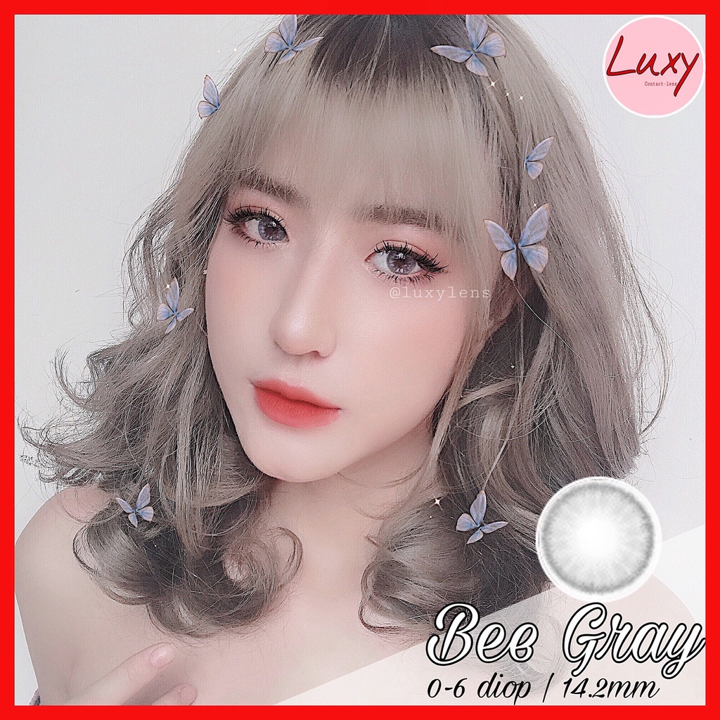 [ 22 MẪU GRAY ] LUXY LENS HÀN QUỐC - LENS SIÊU ÊM - ĐEO NHƯ KHÔNG ĐEO - CAM KẾT HÀNG CHÍNH HÃNG