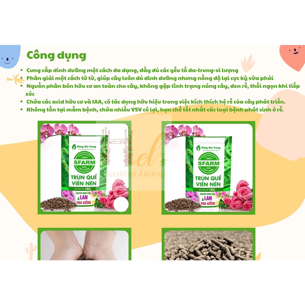 Trùn Quế Viên Nén 1KG Phân Tan Chậm Không Tạp Chất Sfarm Trồng Rau Sạch, Hoa, Bằng Đất Sạch, Xơ Dừa Và Phân Bón Hữu Cơ