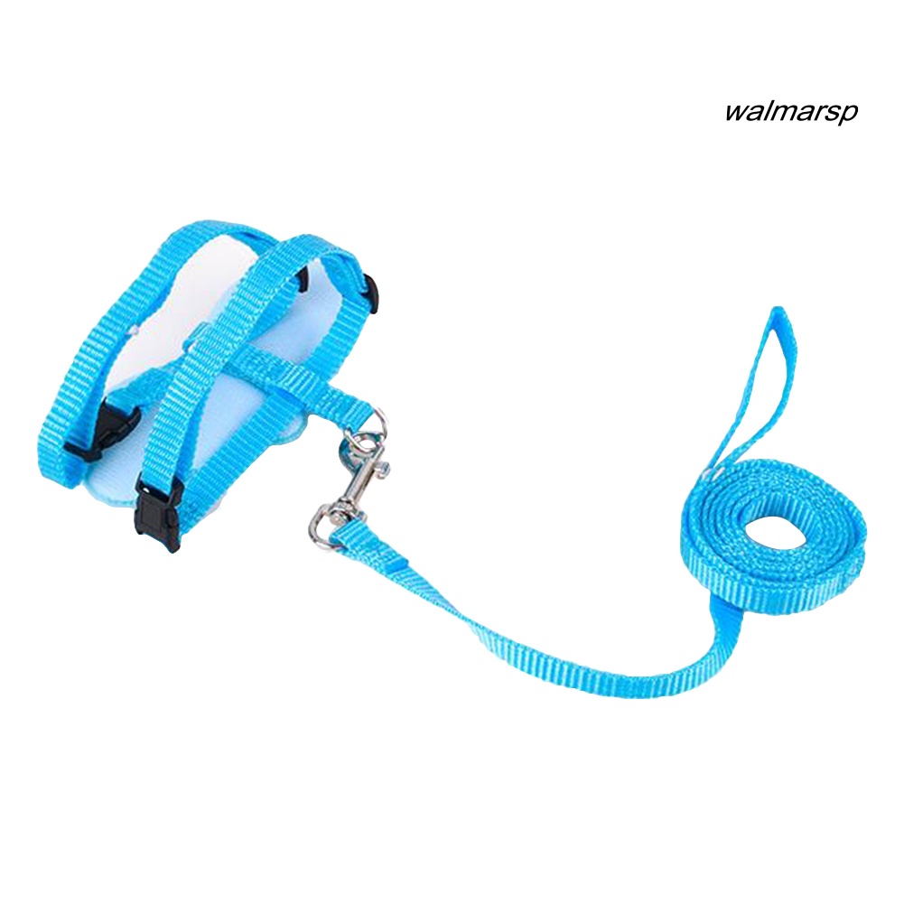 Bộ Dây Dắt Thú Cưng Đi Dạo Đôi Cánh Thiên Thần Dễ Thương Có Thể Điều Chỉnh