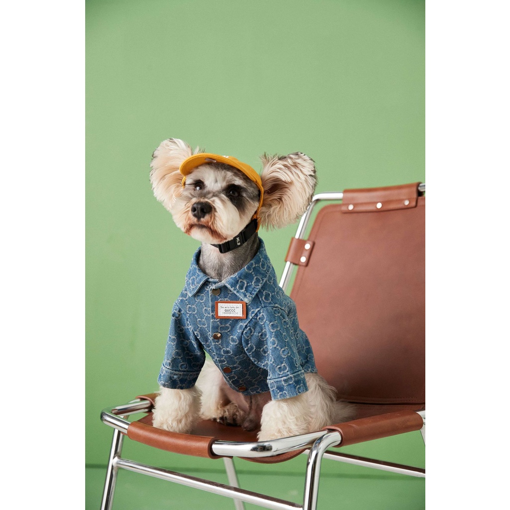 Áo Khoác Denim Thời Trang Xuân Thu Dành Cho Cún Cưng