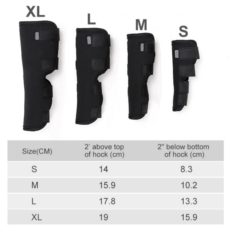 Băng chân bảo vệ phục hồi chấn thương cho cún cưng