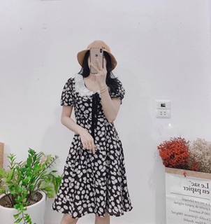 Váy Hoa cúc cổ bèo