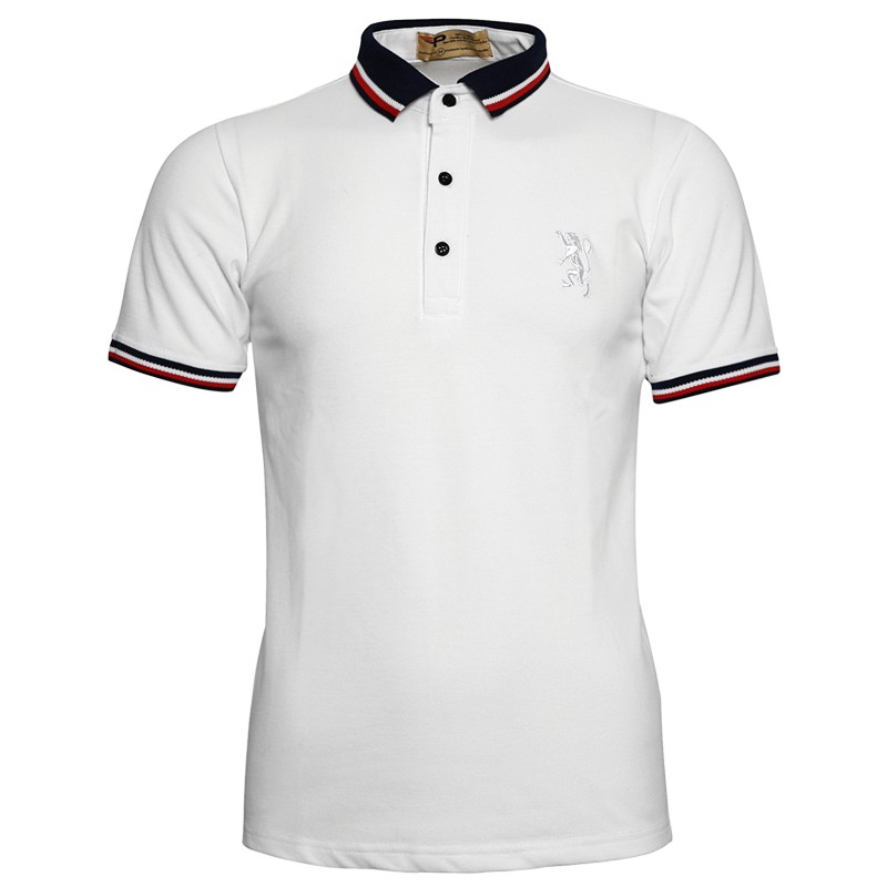 Áo thun nam siêu đẹp cổ bẻ phối bo sang trọng Pigofashion AHT09 (chọn màu) | BigBuy360 - bigbuy360.vn